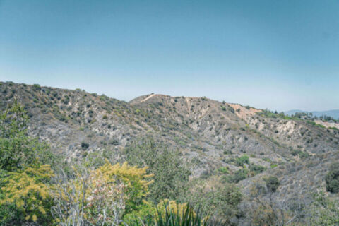 Canyon Oasis in Tarzana Photo 122