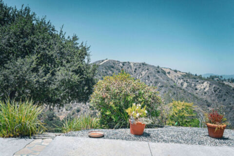 Canyon Oasis in Tarzana Photo 121