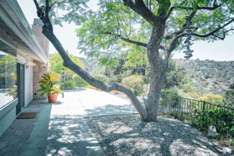 Canyon Oasis in Tarzana Photo 125