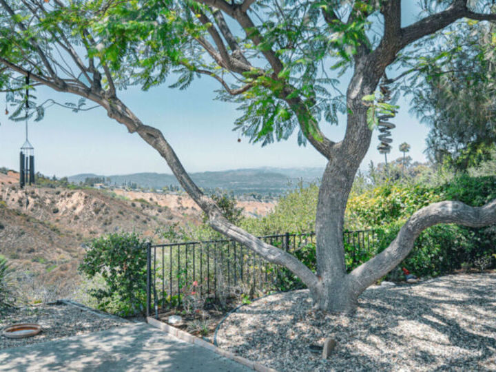 Canyon Oasis in Tarzana Photo 4