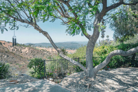 Canyon Oasis in Tarzana Photo 4