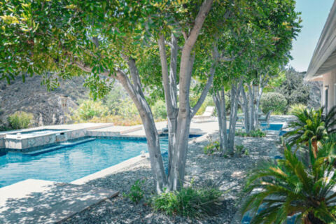 Canyon Oasis in Tarzana Photo 111