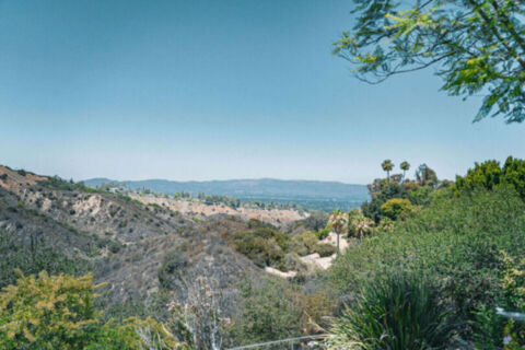 Canyon Oasis in Tarzana Photo 7