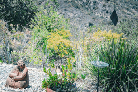 Canyon Oasis in Tarzana Photo 128