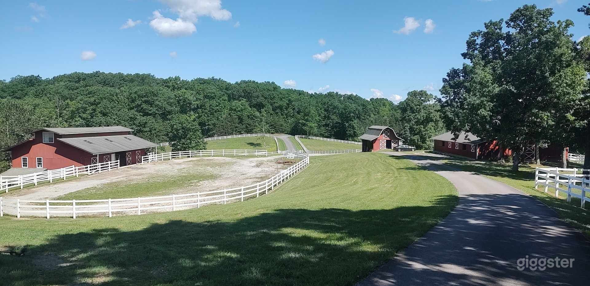 93 acre horse farm, Cleveland