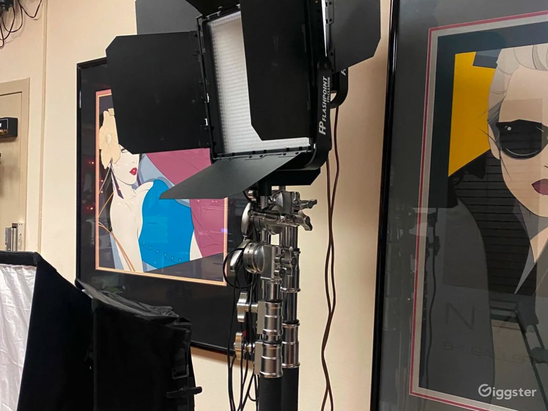 Pro Video/Photo Studio Equipped with Videographer, Pro 4K Cameras, Pro Lenses, Pro Lighting, Pro Sound. For Video Interviews Turn Key Ready to Film &amp; Shoot. Multiple Camera Switchboard, LiveStream or take the Raw Footage with you.  HOURLY RENTAL RATE INCLD