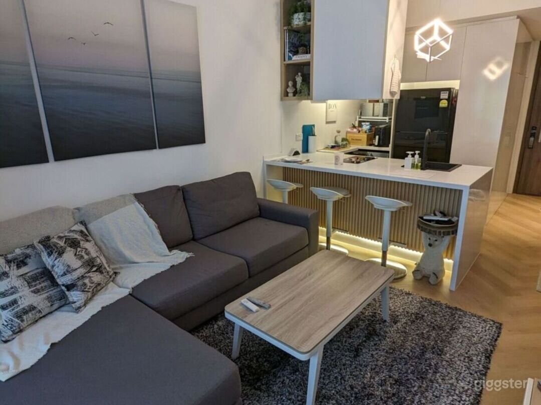 Modern Chic Bachelor Pad | Rent this location on Giggster