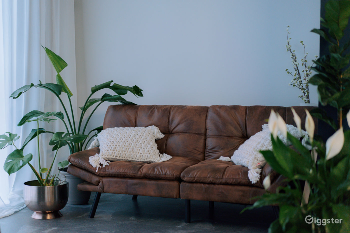 Bright and Spacious Port Coquitlam Studio Rent this location on Giggster