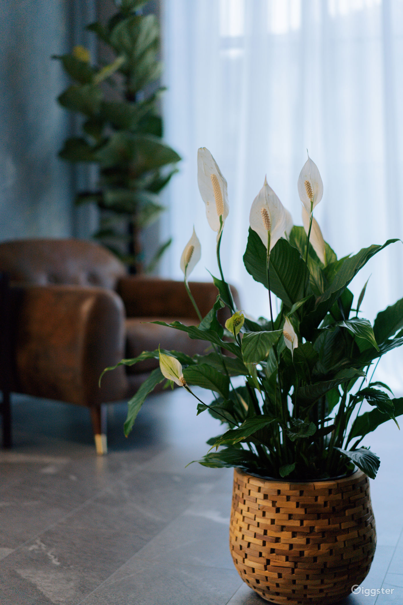 Bright and Spacious Port Coquitlam Studio Rent this location on Giggster