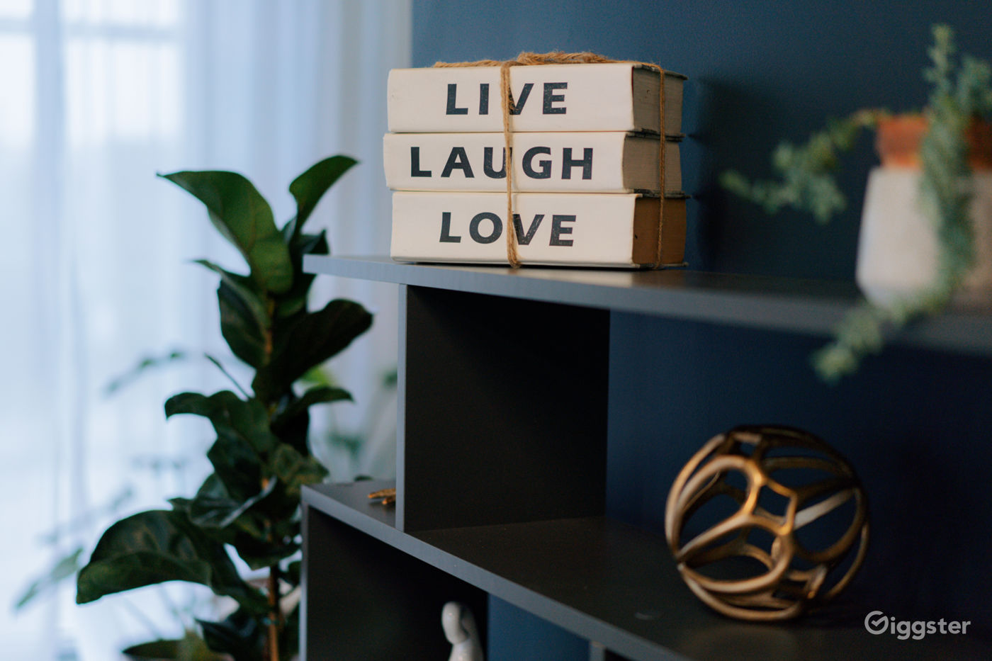 Bright and Spacious Port Coquitlam Studio Rent this location on Giggster