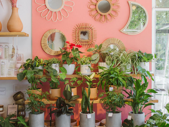 Lush Plant and Flower Shop in Studio City Rent this location on Giggster