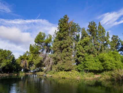 Ernest E. Debs Regional Park Photo 2