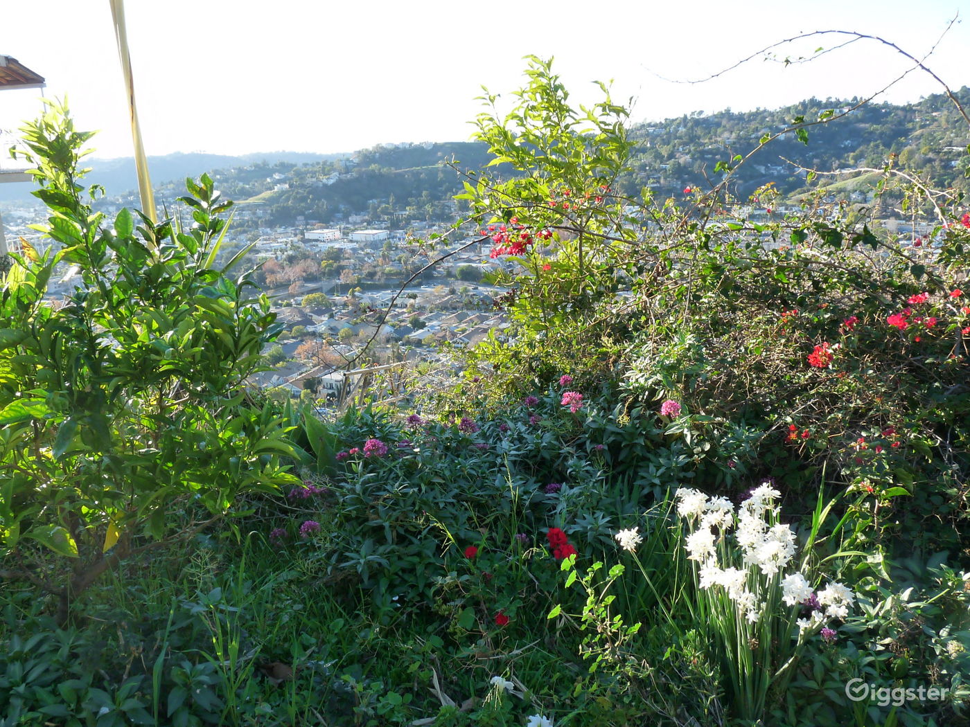 Ernest E. Debs Regional Park Photo 4
