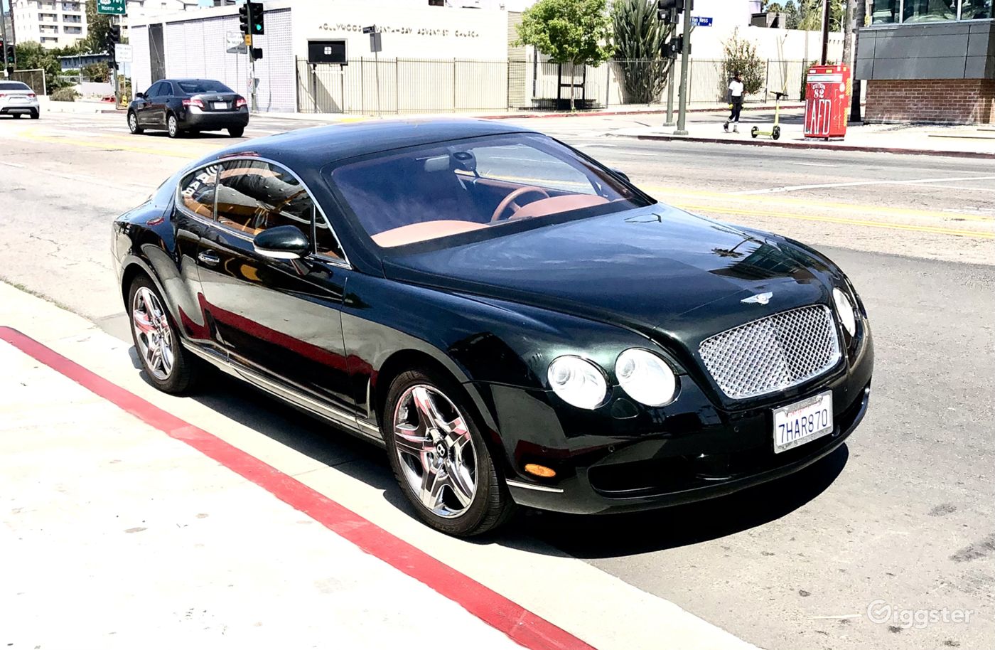 Iconic  * Film * Photo* TV * SunsetHollywoodVilla  Photo 53