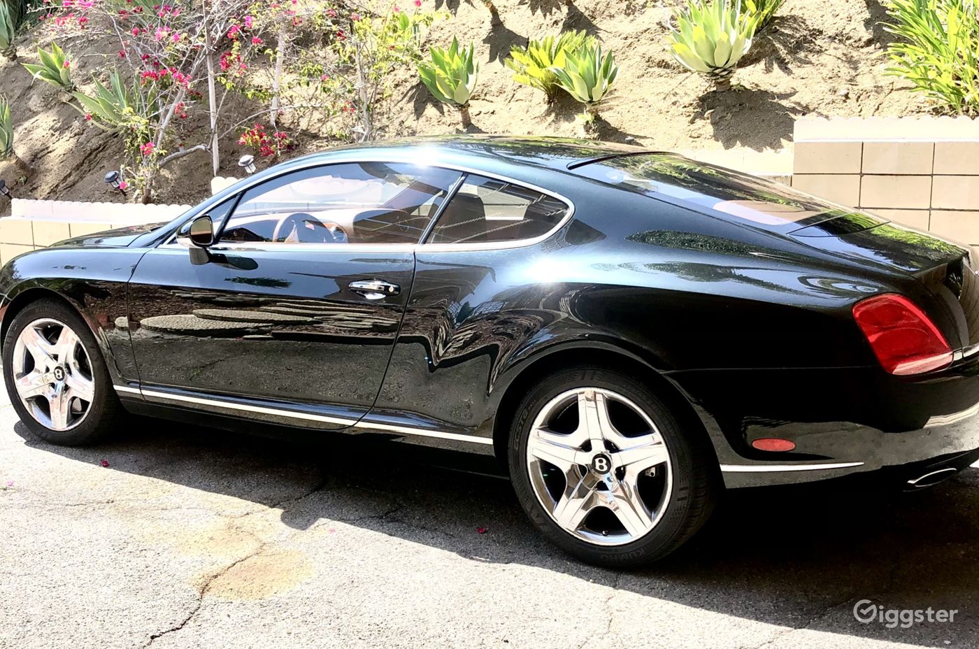 Iconic  * Film * Photo* TV * SunsetHollywoodVilla  Photo 54