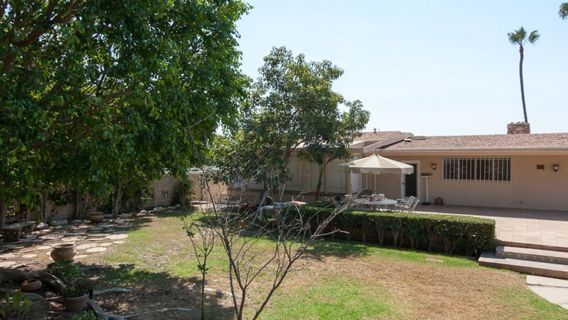 Large Patio natural landscaped 