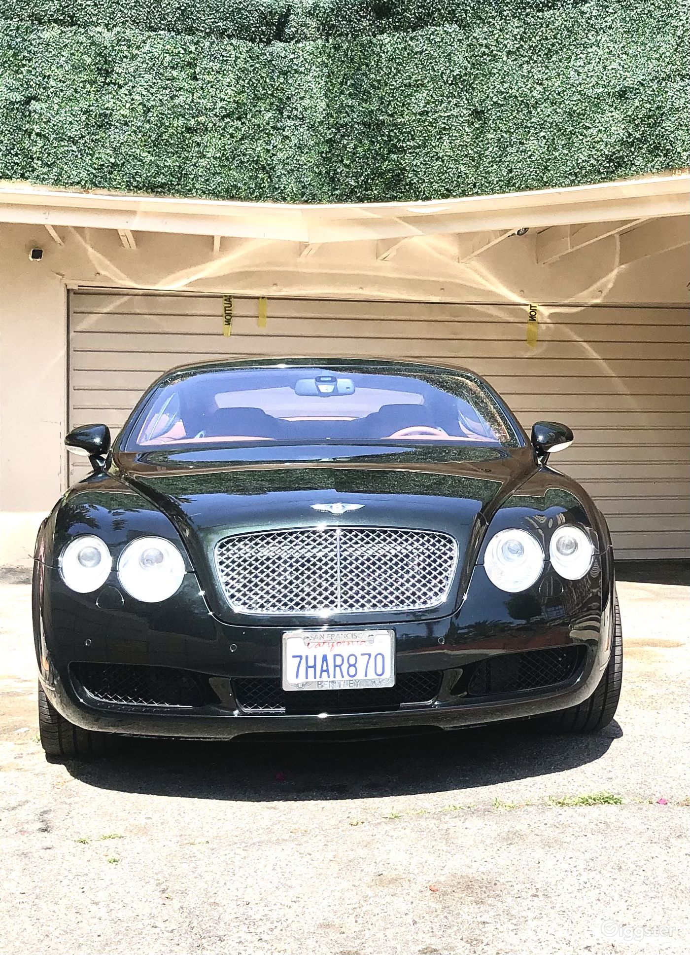 Iconic  * Film * Photo* TV * SunsetHollywoodVilla  Photo 52