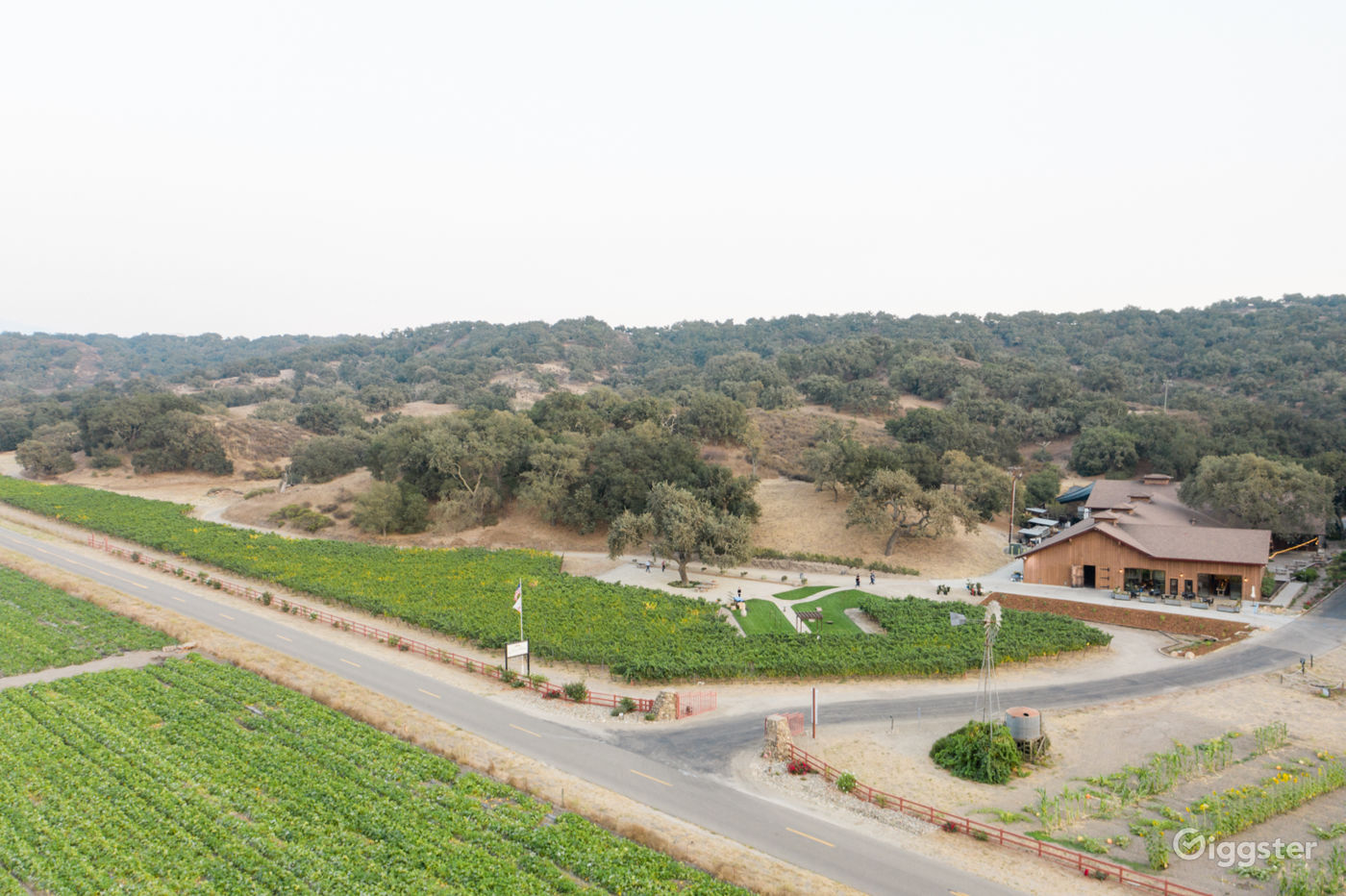 Los Olivos Winery & Vineyards Rent this location on Giggster