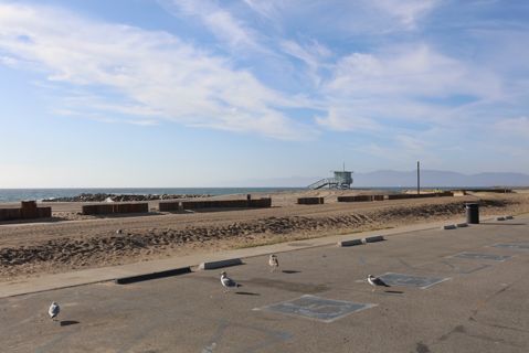 Dockweiler Beach | Lifeguard Towers 49-50 Photo 92