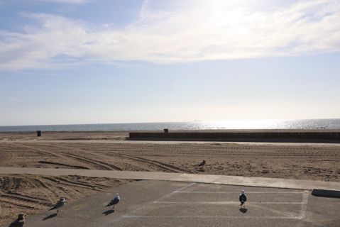 Dockweiler Beach | Lifeguard Towers 49-50 Photo 90