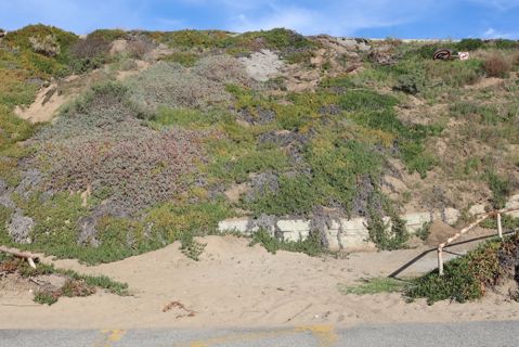 Dockweiler Beach | Lifeguard Towers 49-50 Photo 70