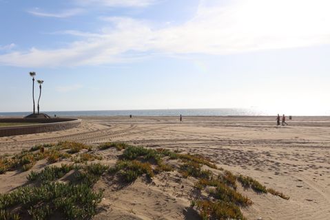 Dockweiler Beach | Lifeguard Towers 49-50 Photo 84
