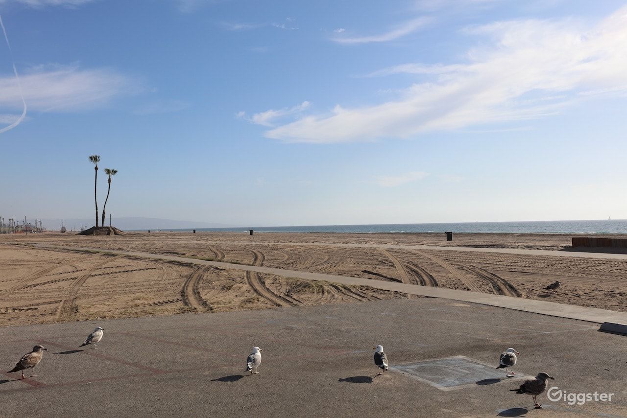 Dockweiler Beach | Lifeguard Towers 49-50 Photo 89