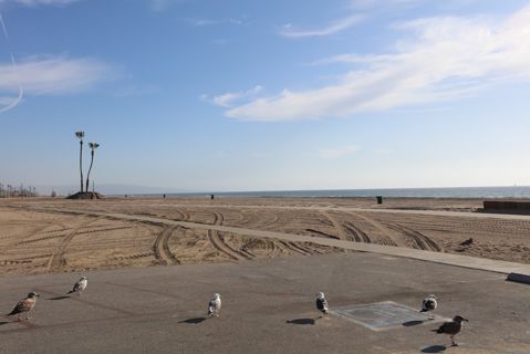 Dockweiler Beach | Lifeguard Towers 49-50 Photo 89