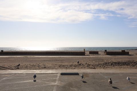 Dockweiler Beach | Lifeguard Towers 49-50 Photo 91