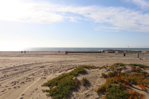 Dockweiler Beach | Lifeguard Towers 49-50 Photo 82
