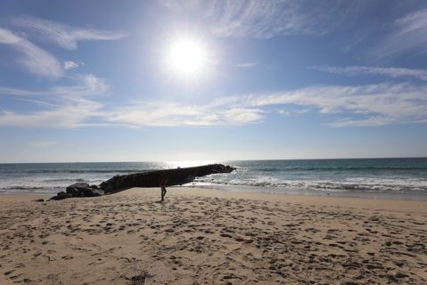 Dockweiler Beach | Lifeguard Towers 49-50 Photo 25