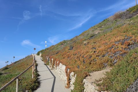 Dockweiler Beach | Lifeguard Towers 49-50 Photo 75