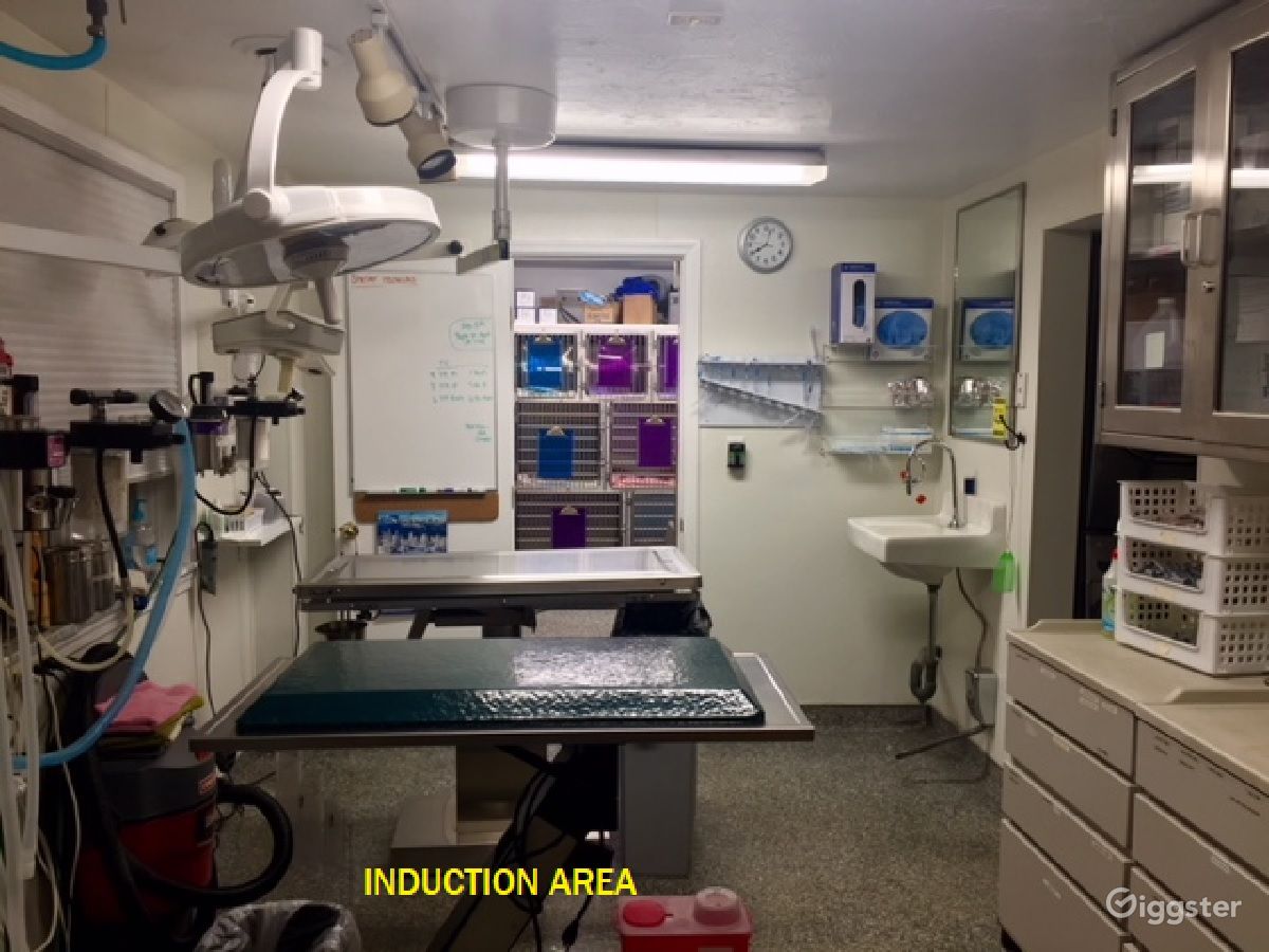 UNIQUE MULTIBUILDING ANIMAL SHELTER & VET CLINIC Rent this location