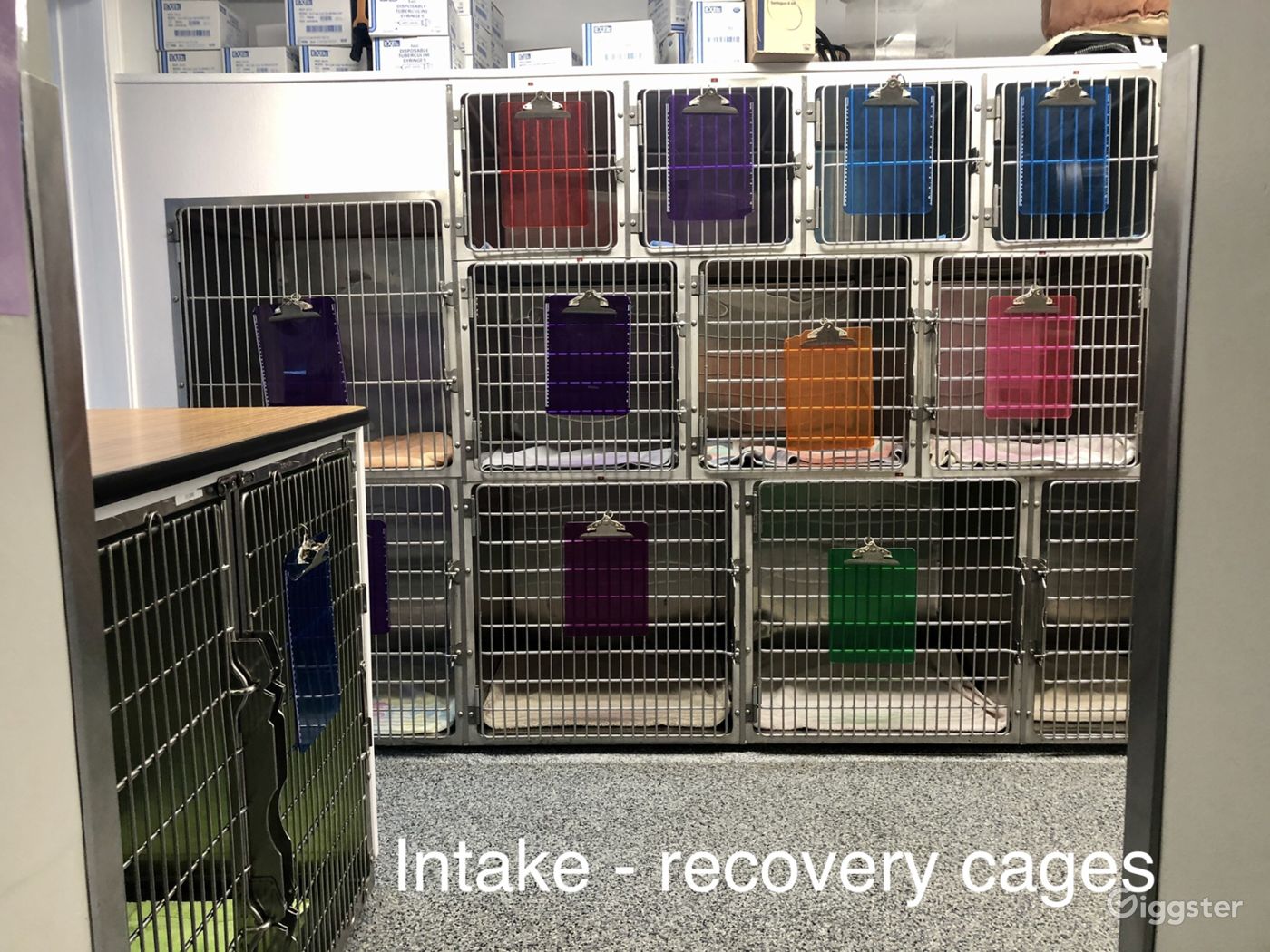 UNIQUE MULTIBUILDING ANIMAL SHELTER & VET CLINIC Rent this location