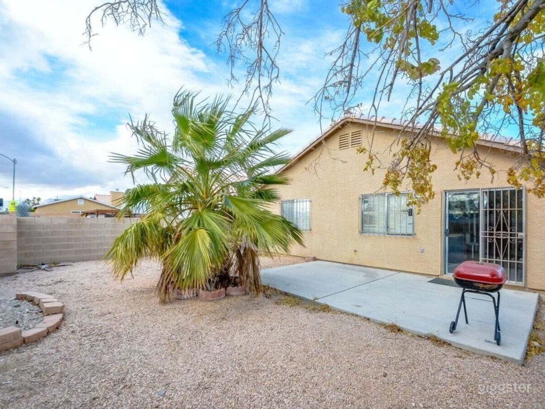 Curated visual reference: Visual Reference: Desert Chic Backyard With Palm Tree Rent This Location On