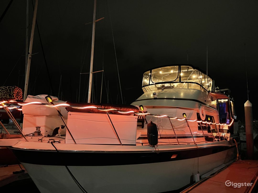  There are also underwater  lights on the stern of the boat  