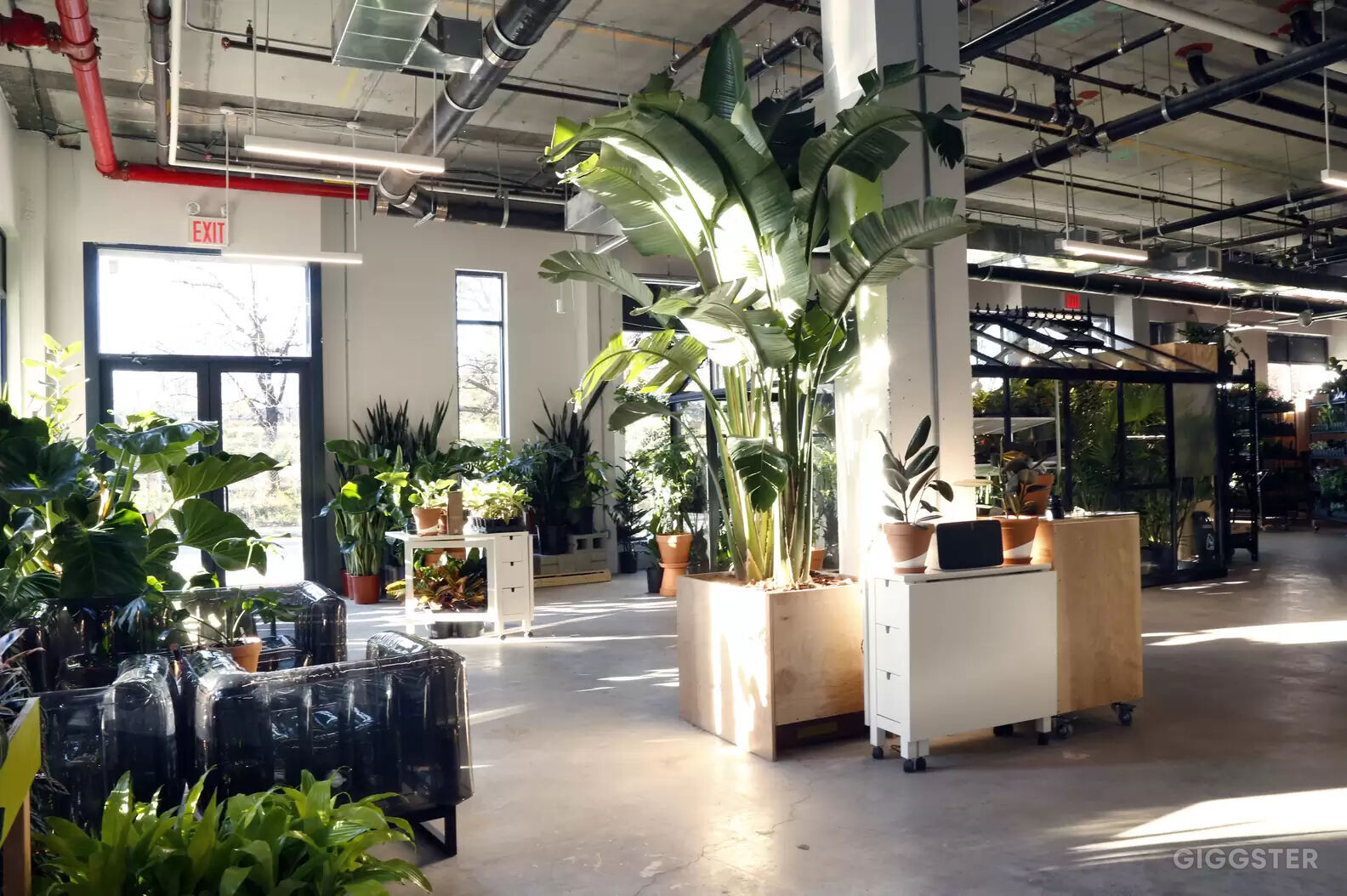 Massive Indoor Plant Shop with Jungle Vibes! Rent this location on