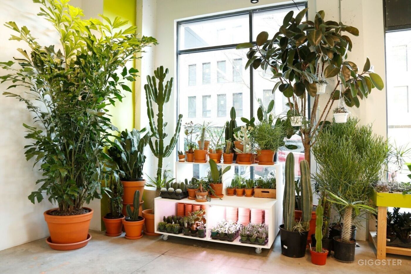 Massive Indoor Plant Shop with Jungle Vibes! Rent this location on