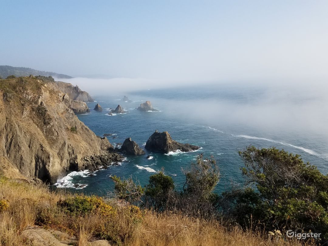  Looking south off cliffs on the deck overlooking the ocean, 85 acres, mile of private coast.  