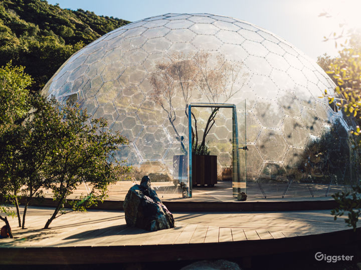 Aura Dome  Photo 5