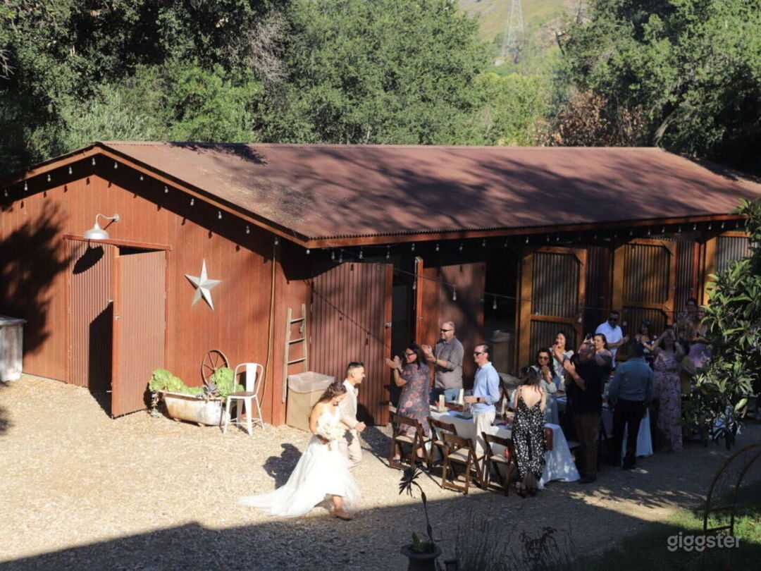 Barn and 3 acres of oaks