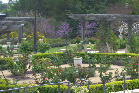 South Coast Botanic Garden Photo 3