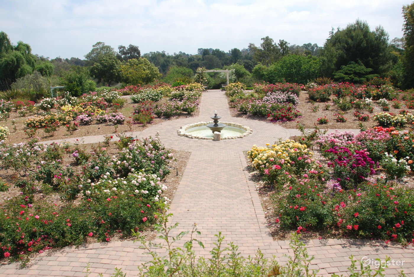 South Coast Botanic Garden Photo 5