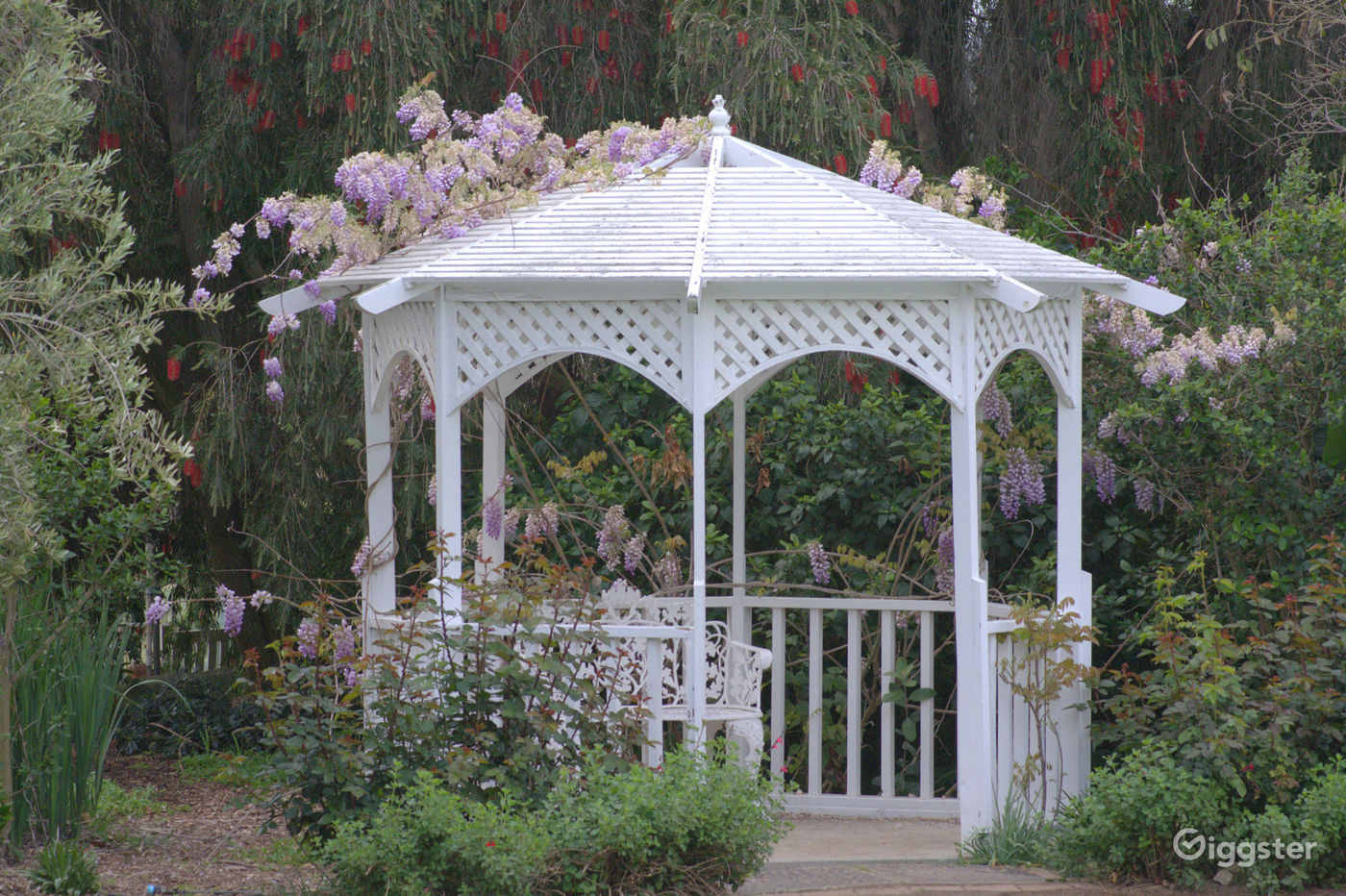 South Coast Botanic Garden Photo 2