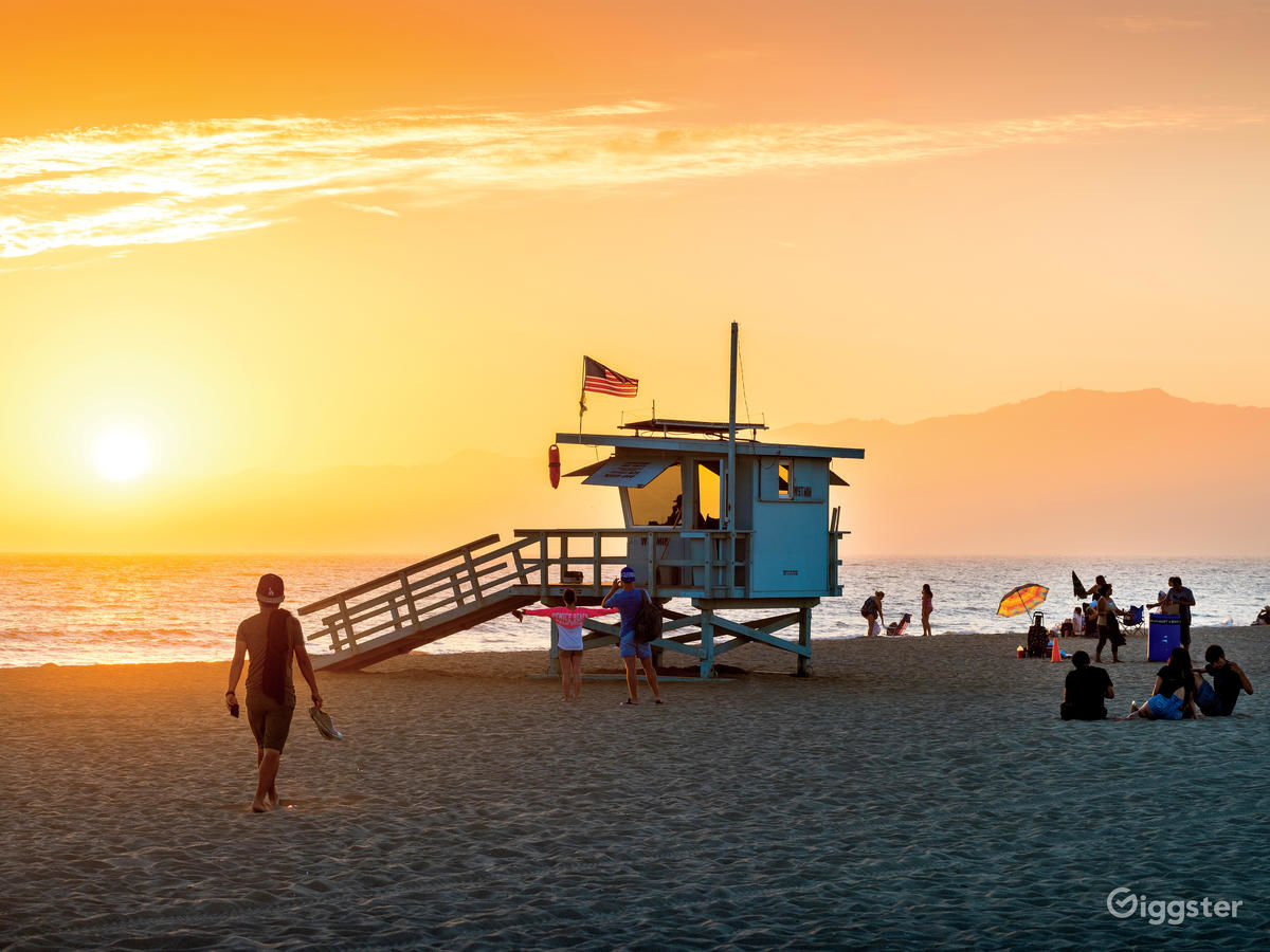 Image result for venice beach