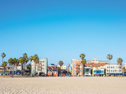 Venice Beach Photo 7