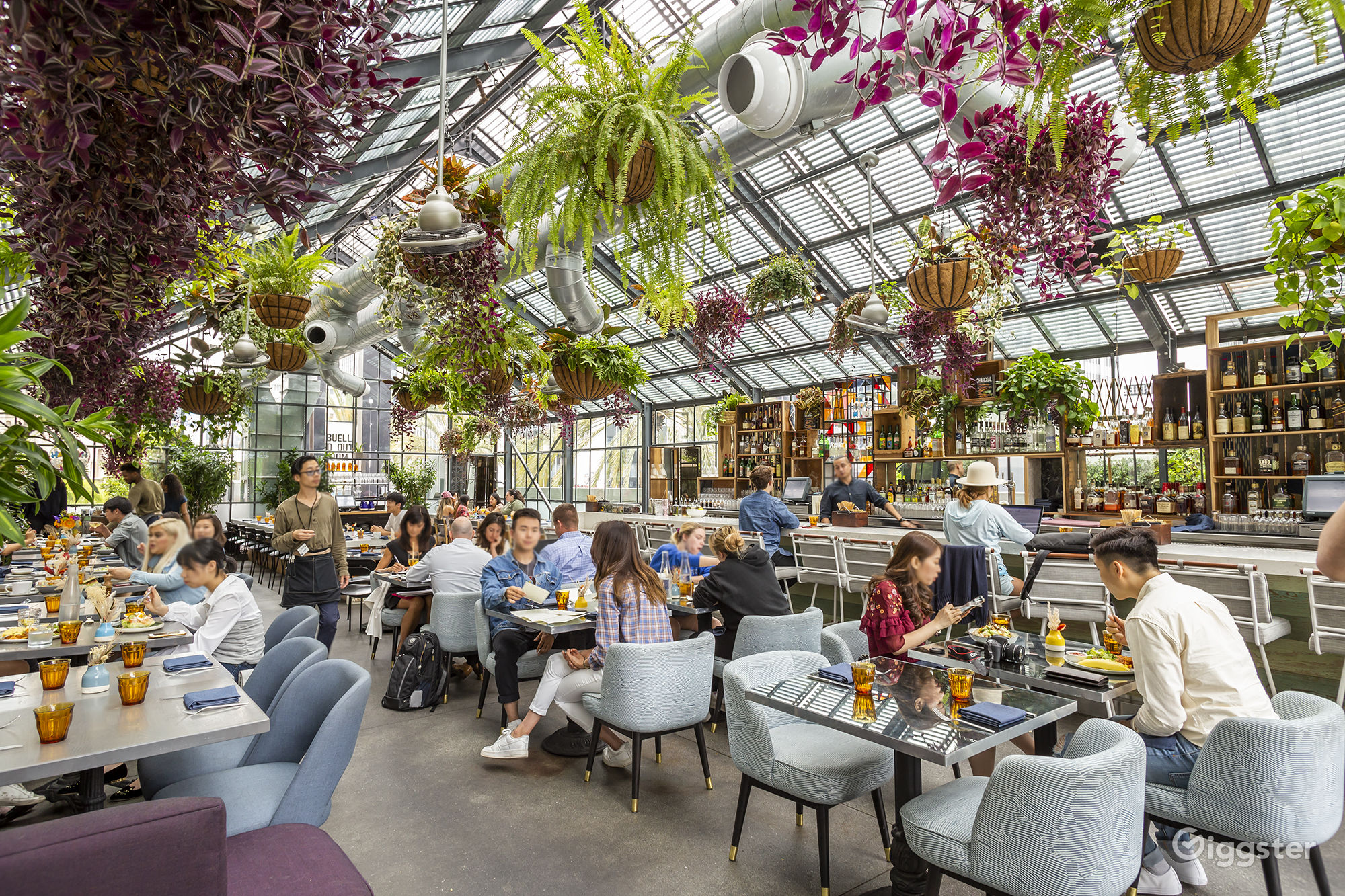 Greenhouse Hotel Rent this location on Giggster