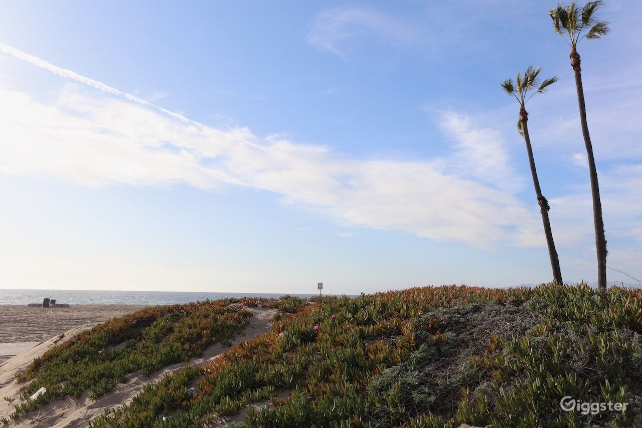 Dockweiler Beach | Lifeguard Towers 55-56 Photo 89