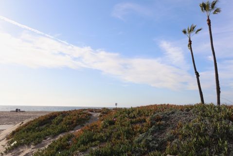 Dockweiler Beach | Lifeguard Towers 55-56 Photo 89