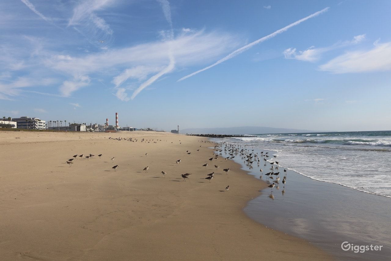 Dockweiler Beach | Lifeguard Towers 55-56 Photo 38